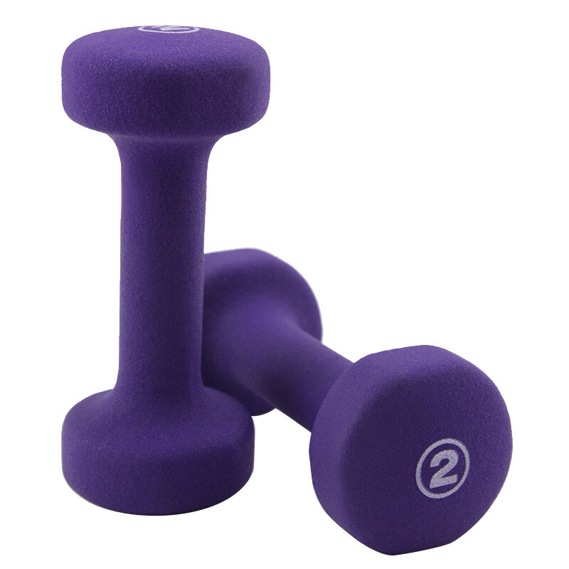 PROIRON 浸塑哑铃郑多燕女士男士运动家用健身器材体育用品 紫色2磅/0.9KG/只 2只装